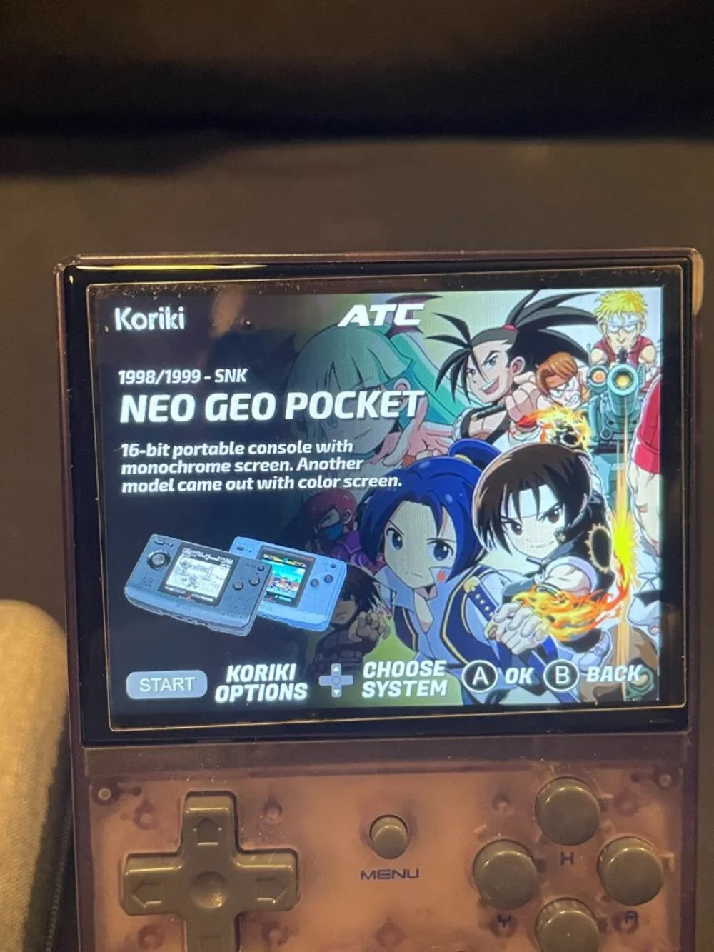 Ambernic Handheld Customized Koriki OS With Accessories